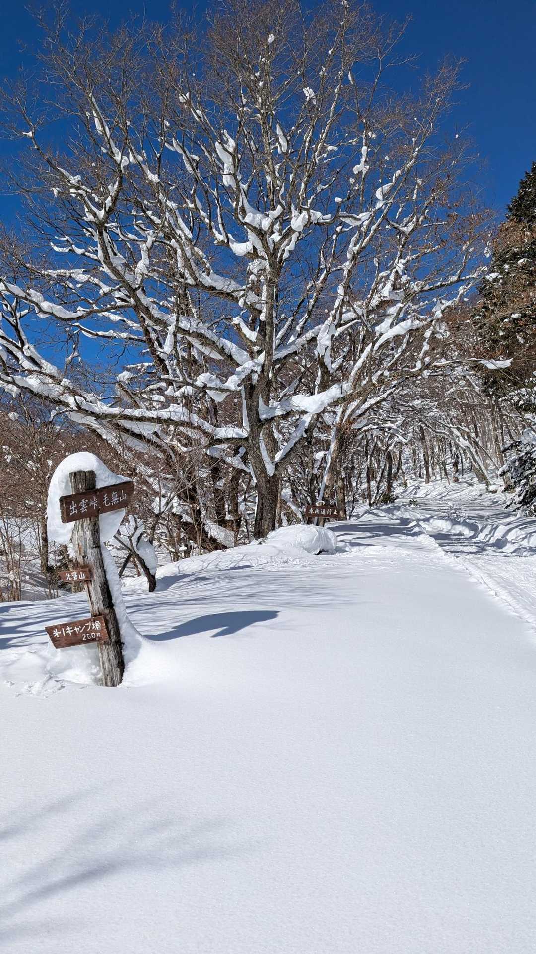 毛無山-出雲峠 周回コースの写真
