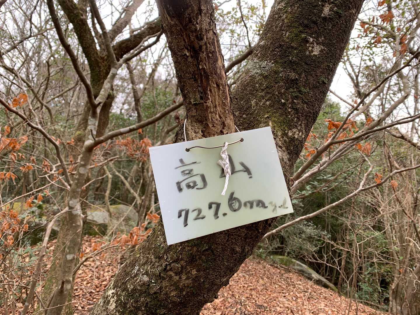復路ロードはラン友にしっかり引っ張ってもらい心拍数170超え💦 周回したついでに初の高山⛰登山道はよくわからず…突っ切って登りました。