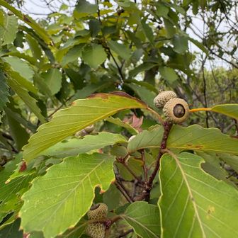 もう秋の準備始まってます🍂
道中に、落ち葉で転んだのは秘密です㊙️