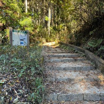 ここから大和葛城山の急登の登りが始まります😓