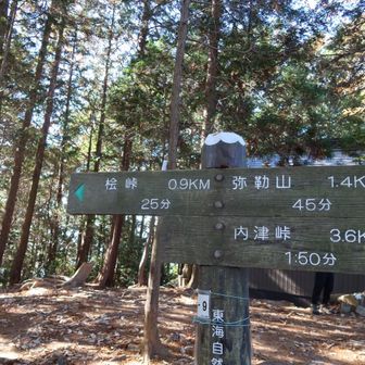 ここで見たことのある地名発見
中央道の内津峠PAの内津峠かぁ👀

自分がどの辺にいるか、ようやくわかりました
愛知県の地理が全くわかってなかった😅