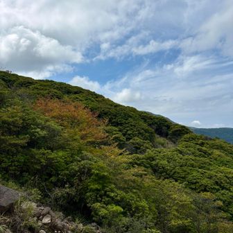 紅葉が少しだけ