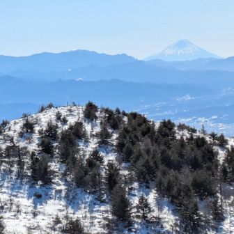 湯の丸山の向こう富士山🗻