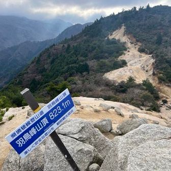 ハト🐦は漢字なんだ〜、知らなかった