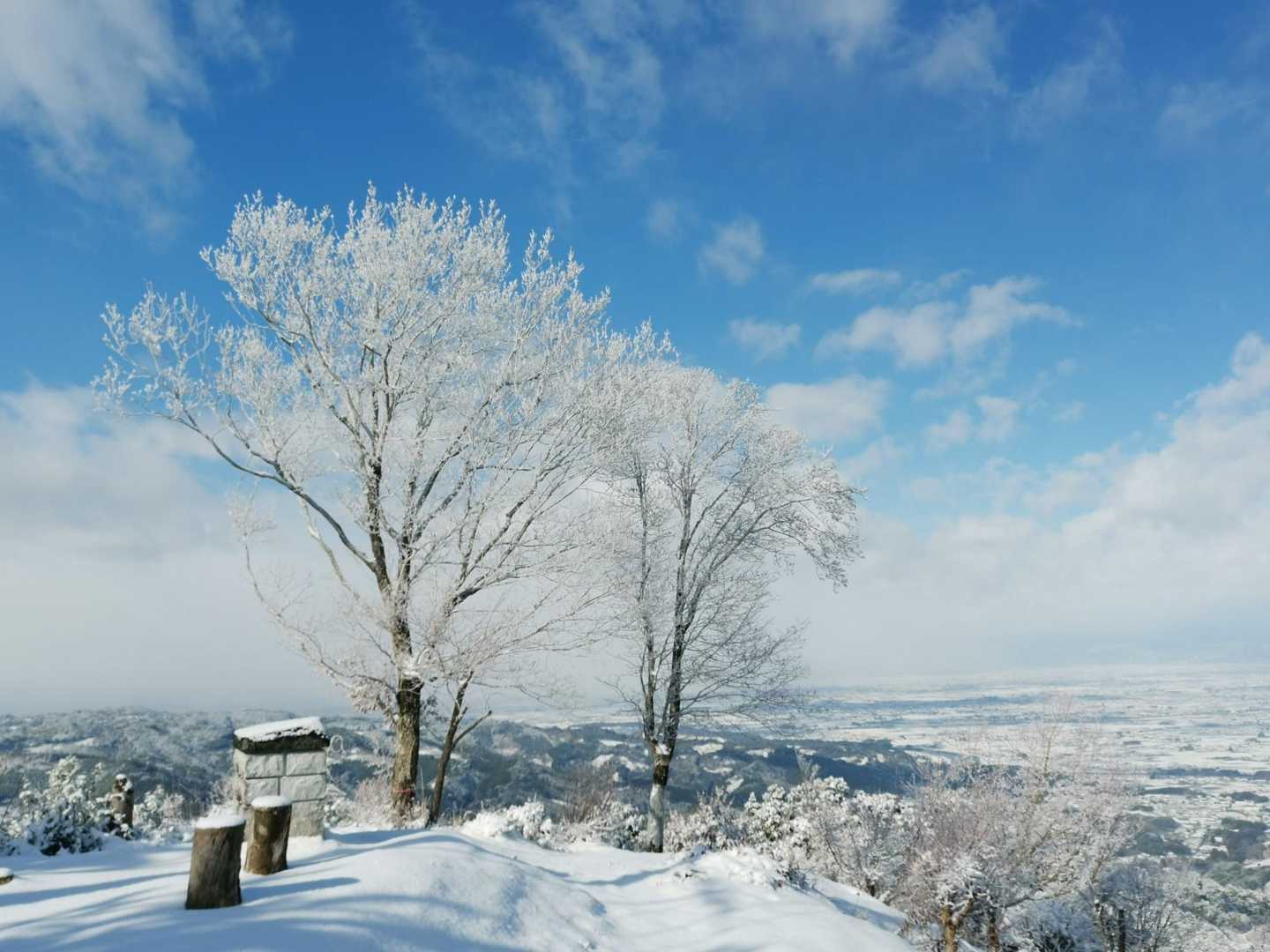 雪の花が咲いたようでした😀