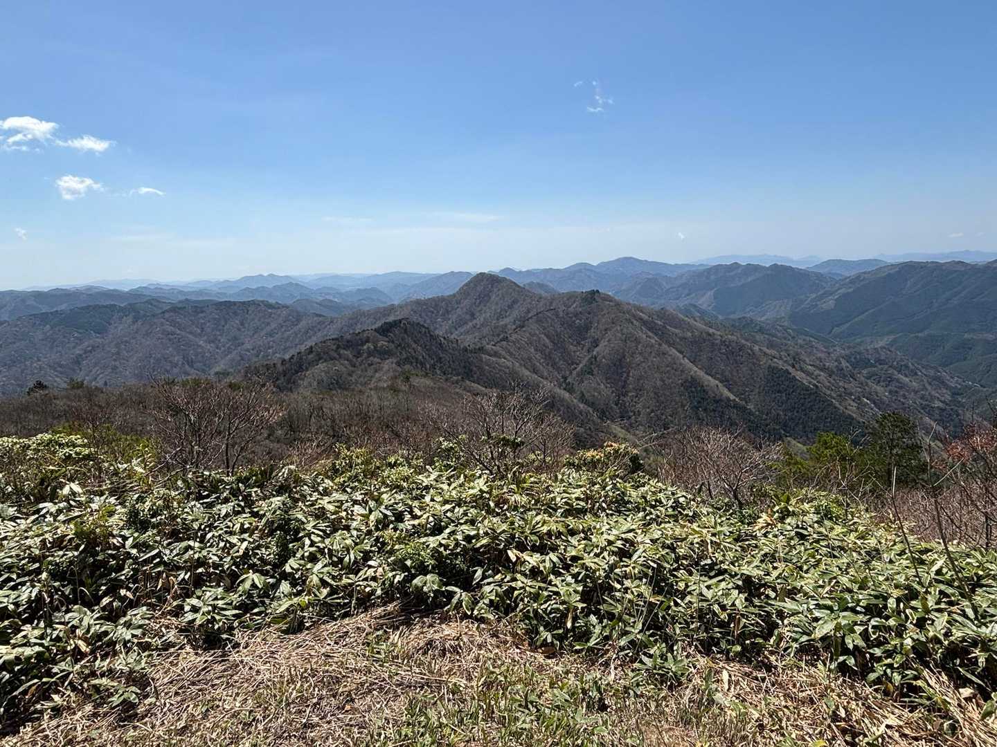 弟見山山頂 手前のながめ