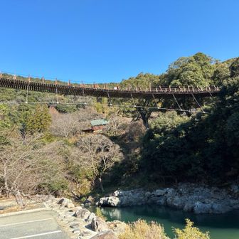 こんな感じやで🐼

ヨシ次なる頂きへ
