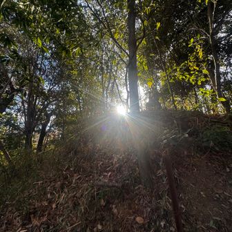 あれが谷津仙元富士の山頂

ということは...

一応、ダイヤモンド富士！