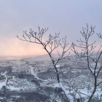 ピンクに染まる街並み