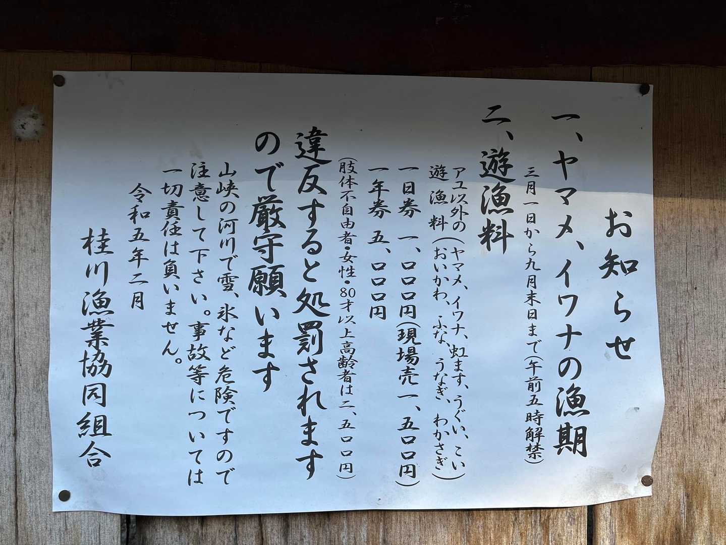 ご案内ありました☝️