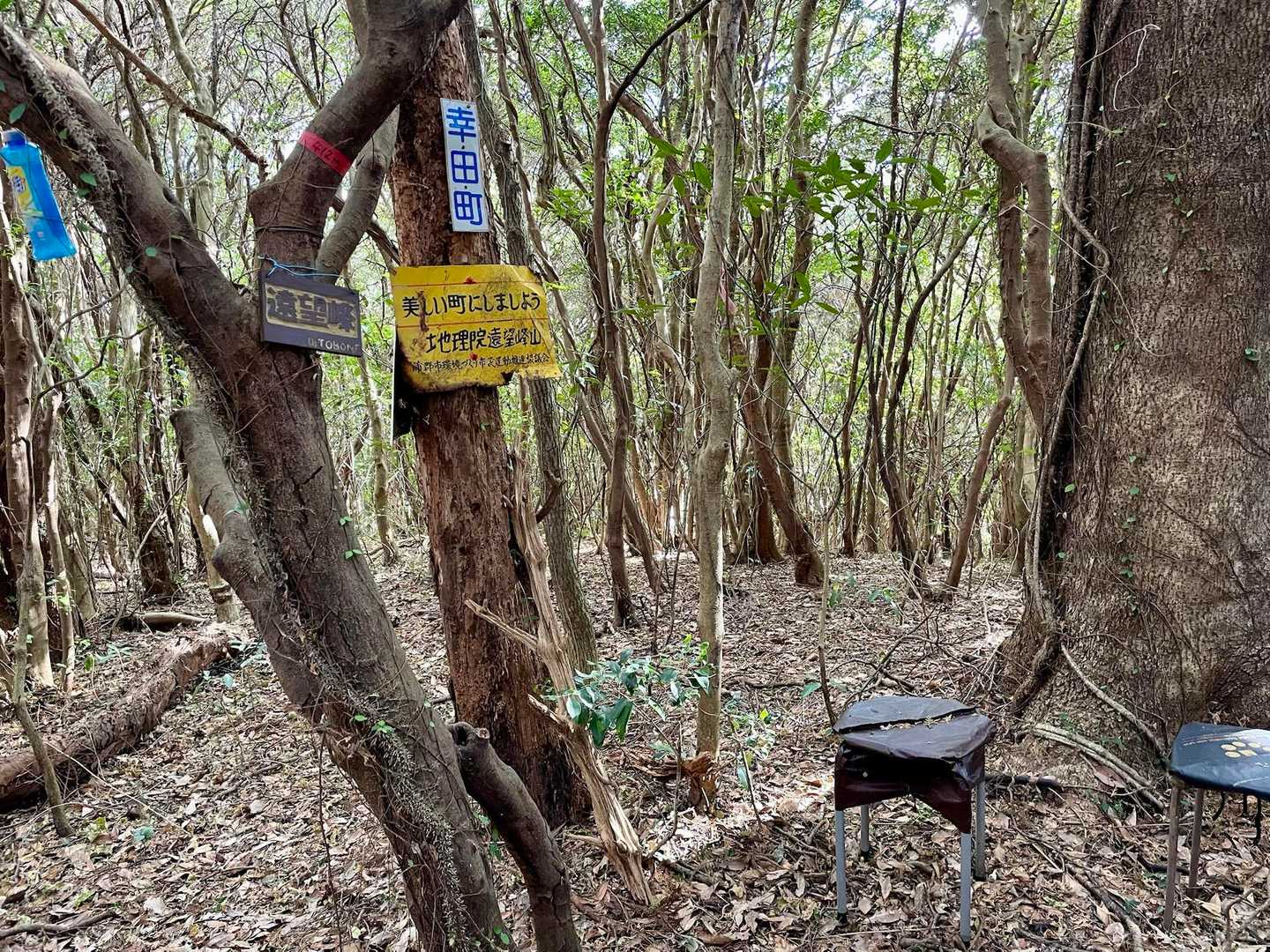国土地理院の山頂だそう