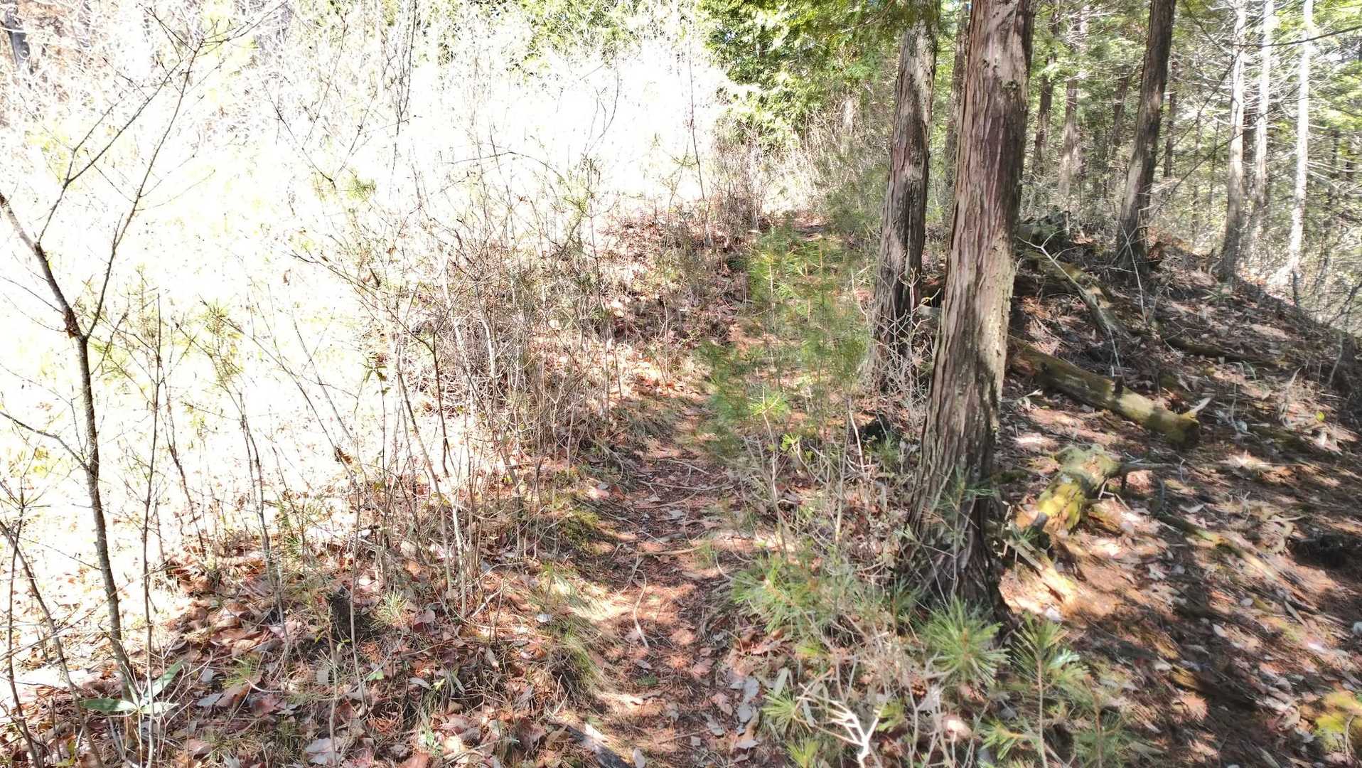 ここ歩いていると、いろいろ刺さります😱
こんな感じが少し続きます❗
半袖、短パンは痛そうです(笑)