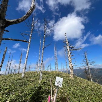 横川山のピーク