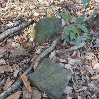 これは何の石だろう？