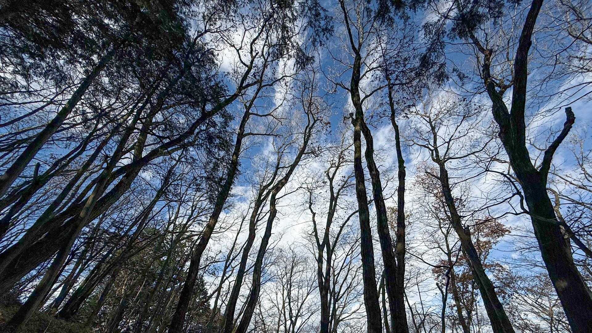 天気は良いが寒い！