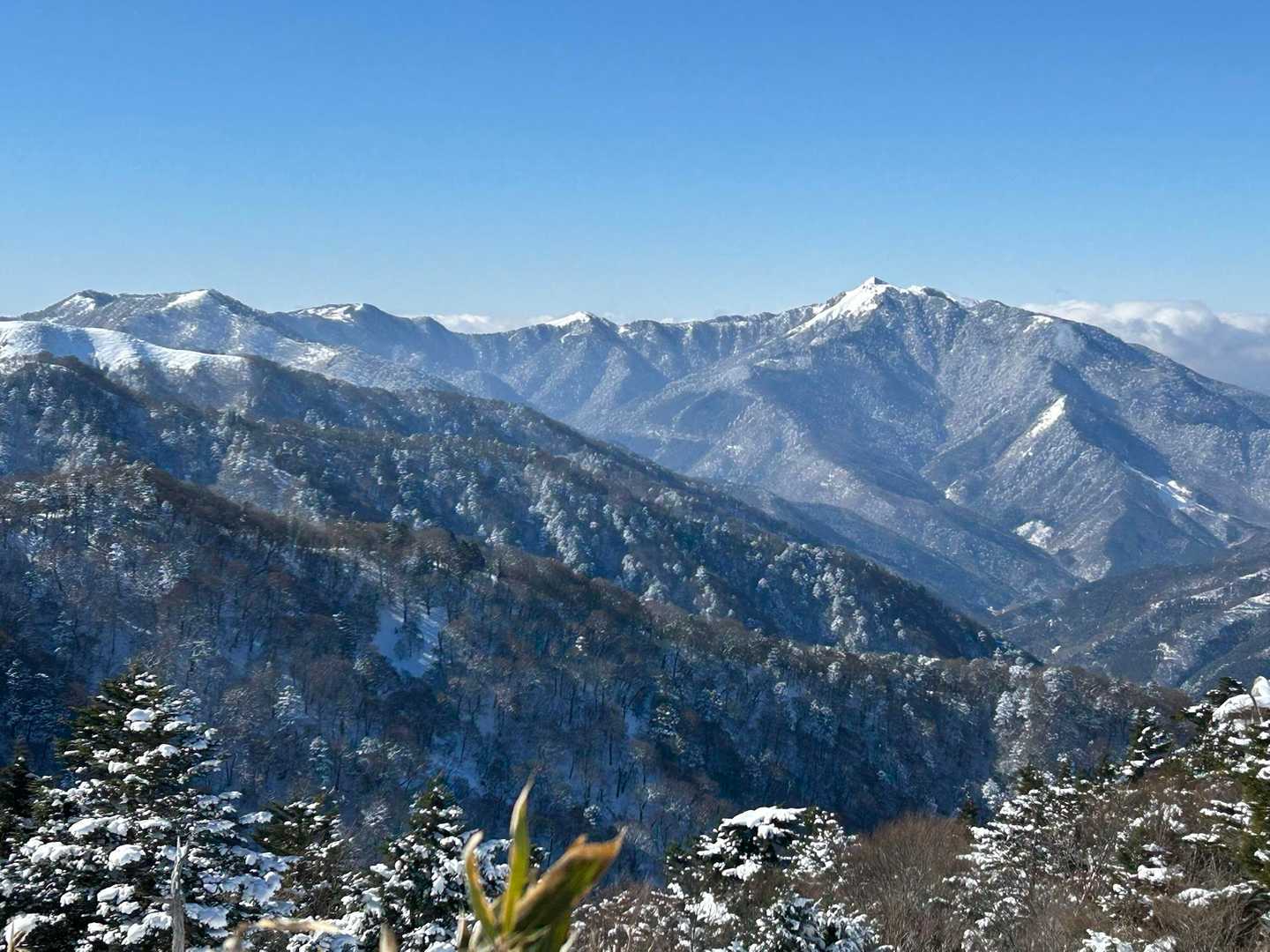 いい感じだ。