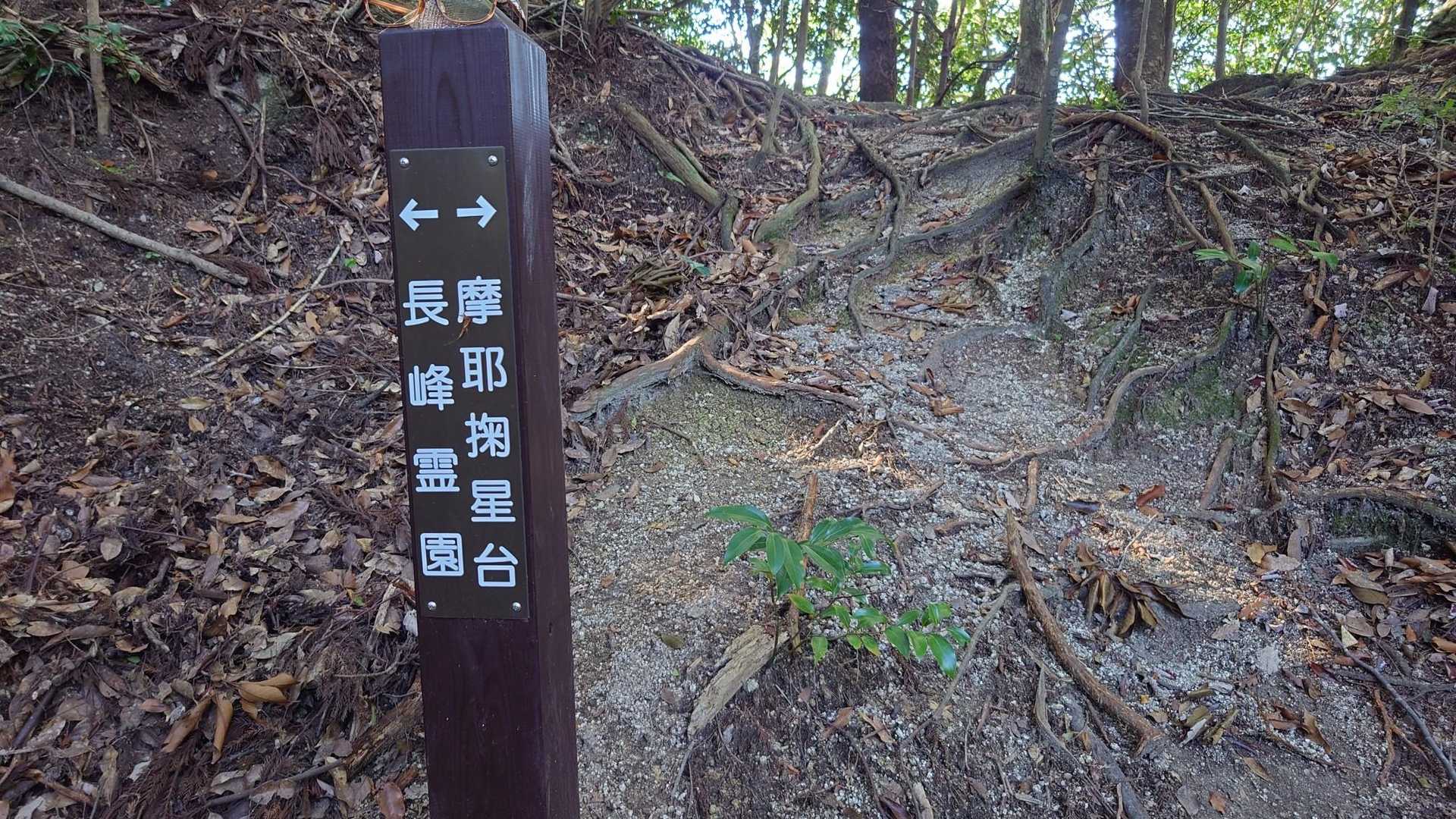 摩耶東谷からの合流点