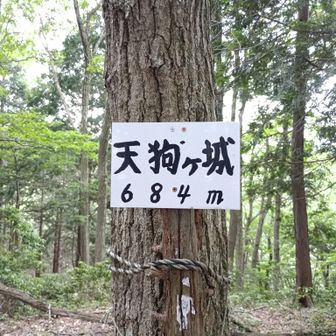 天狗ヶ城到着。標高684ｍ。