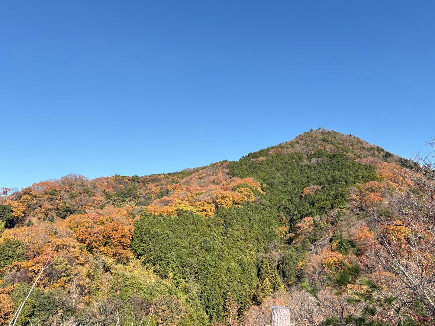 小判型の展望台から
🟢🟥🟨グラデーション🏔️