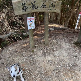 あっという間に到着