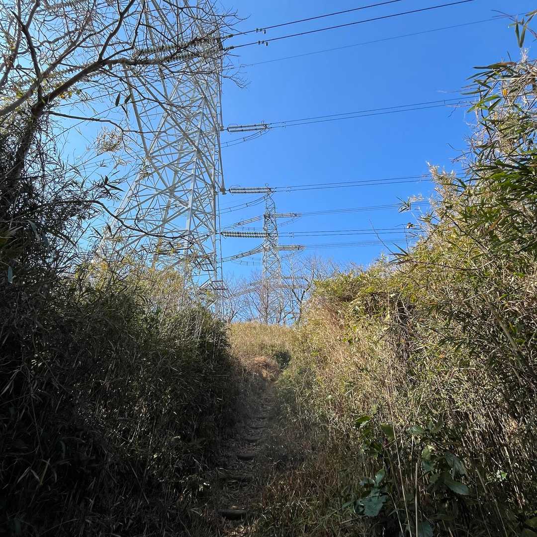 鉄塔の電線が近くてちょっと怖かった。