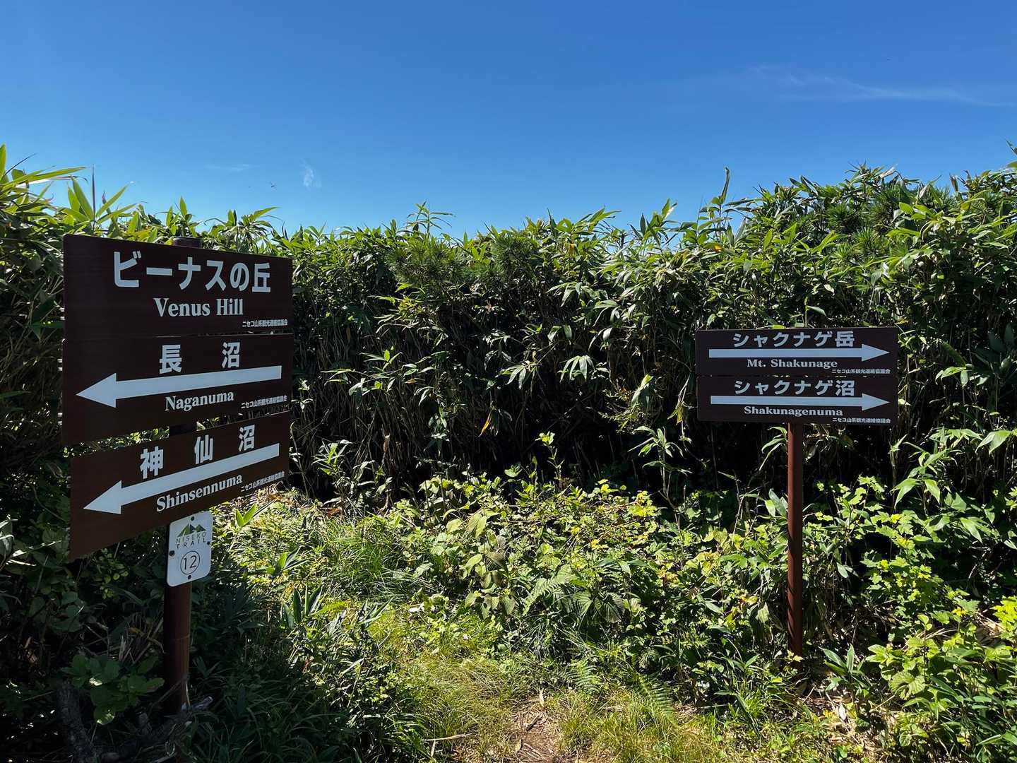 ビーナスの丘-シャクナゲ岳 往復コースの写真