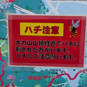 9月から続く蜂被害
