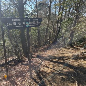 バン木ノ頭踏破。快調、快調。ペースが上がるぜ。