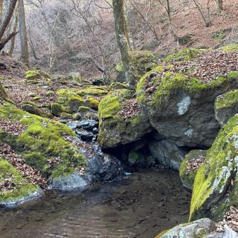 苔の感じが良いね。