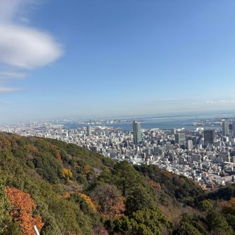 大阪方面も見える