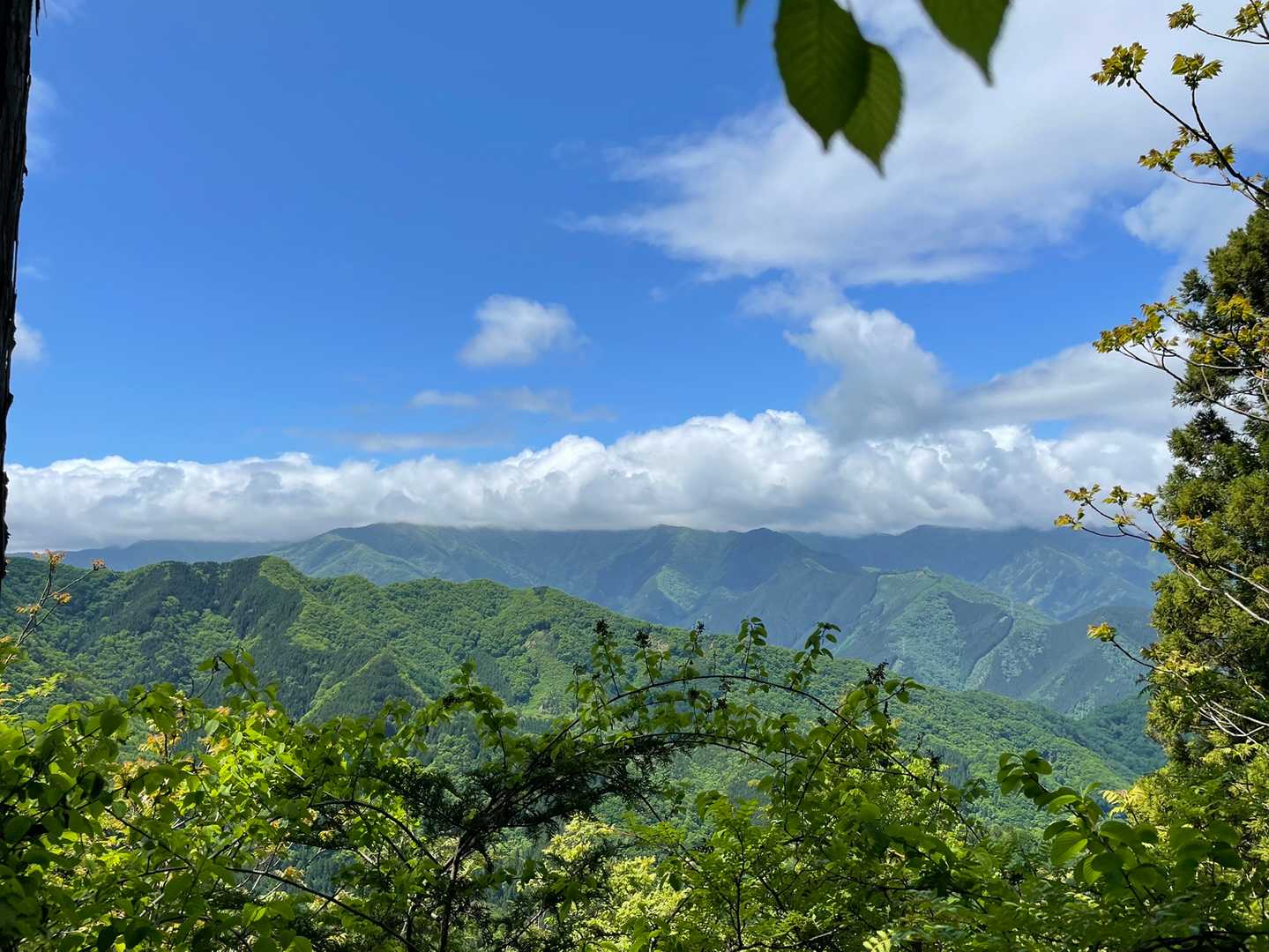 浦山口駅-武甲山 往復コースの写真