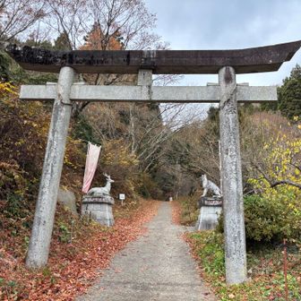 よろしくお願いします┏○ﾍﾟｺ