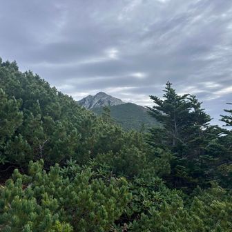 甲斐駒ヶ岳見えてきた