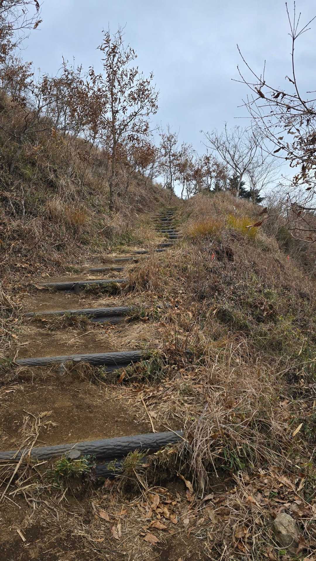 こんな階段ゾーンが大半です