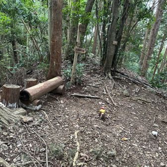 ベンチがあり休憩できます。