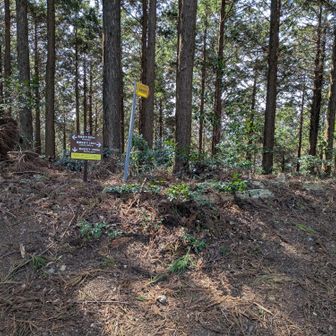 展望台へ寄ります