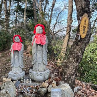 見かけたお地蔵さんは皆んな真新しい帽子
新年にお色直ししてもらってるのかなぁ🙏
