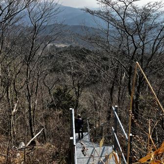 奥に見える駐車場に天狗👺のトーテムポールあるらしい。