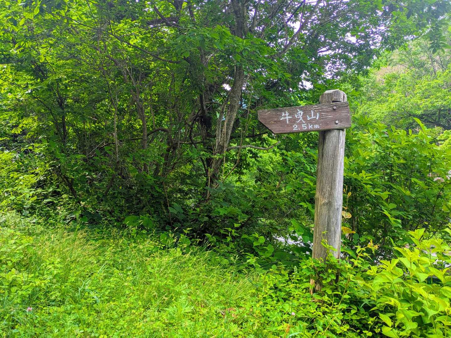 「牛曳山」登山口へ😀
