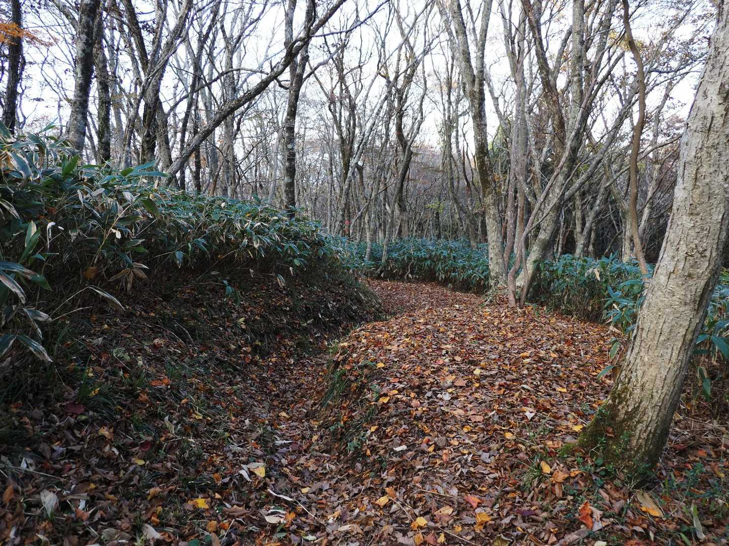 こちら側はなんだか寂しい。人少ないし