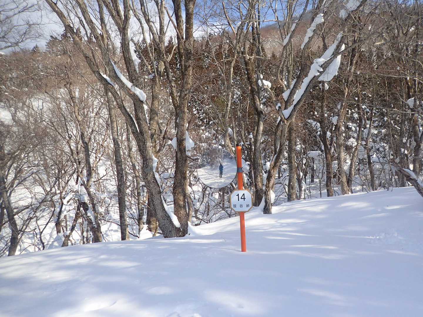 飽きずに撮ります。