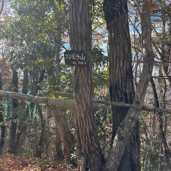 六つ目、金毘羅山