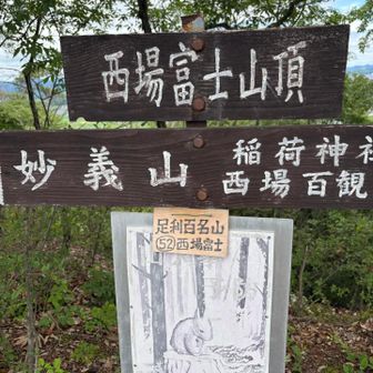 最後のピーク西場富士。