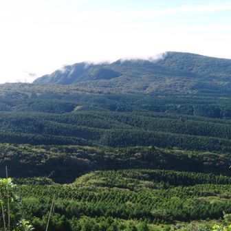 大矢岳