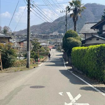 舗装路歩いてもどります⸒⸒⸜( ˶'ᵕ'˶)⸝
ハイカーけっこう歩いてます🤭