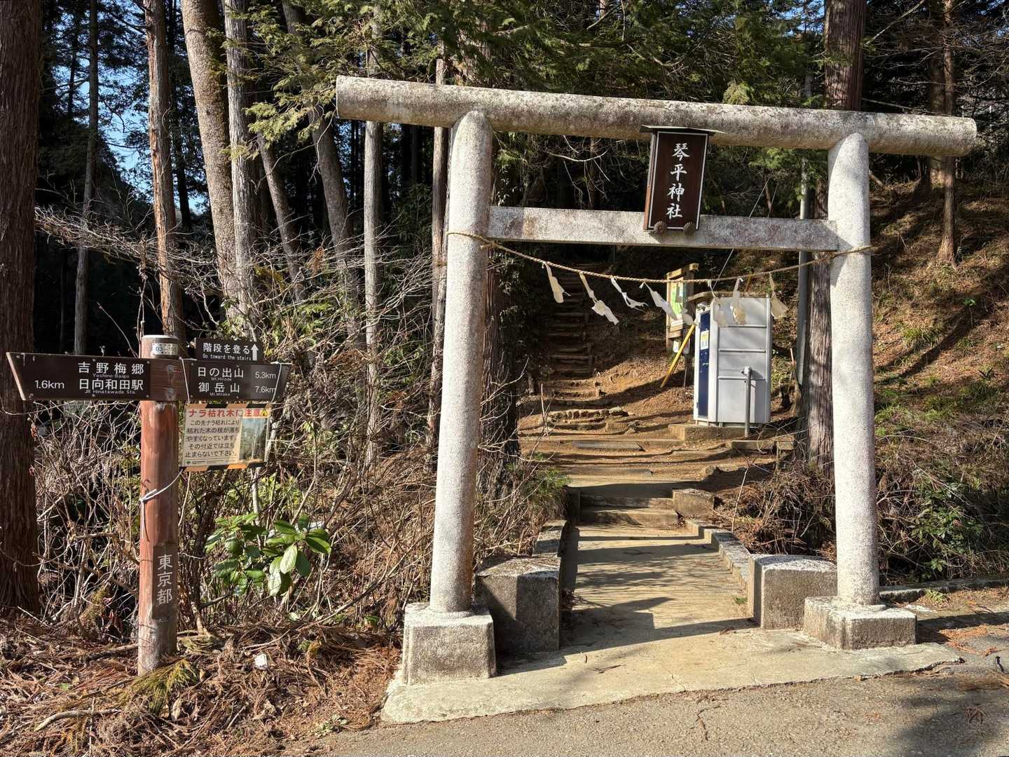 ここが登山口