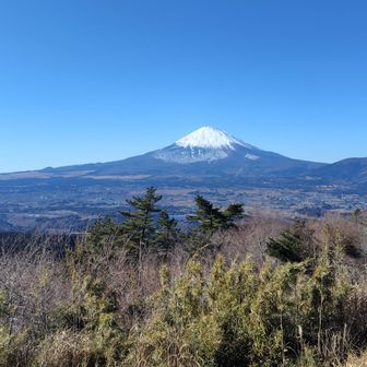 足柄城跡からの富士山。こちらも大きな富士山と壮大な景色✨️