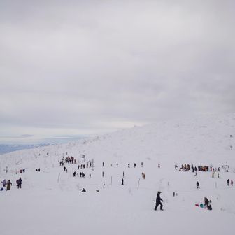 インバウンドで外人しかいない