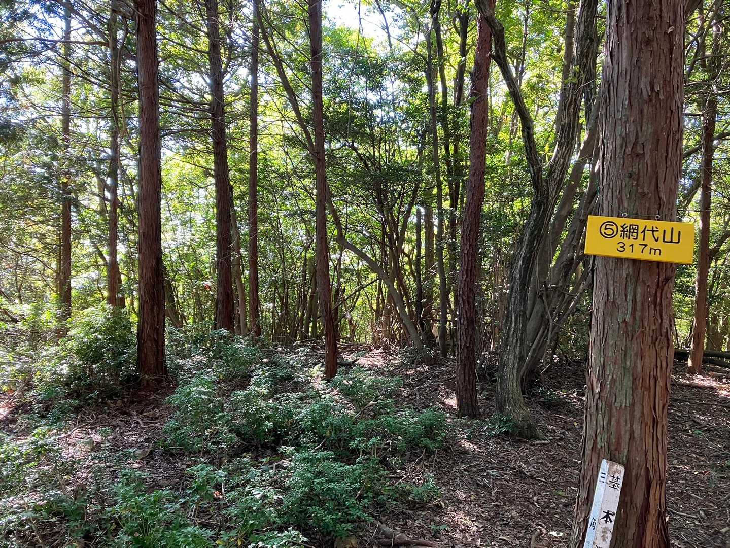 な〜んもなし😑お楽しみもなく、さっさと下山します🫤