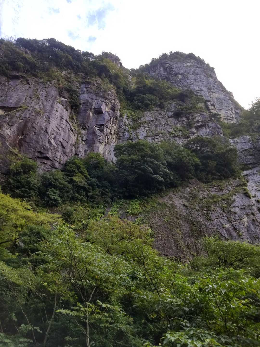 行縢山登山口-雌岳 往復コースの写真